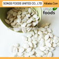 Buy high quality green pumpkin seeds,new crop